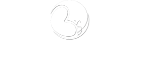 Boogaards-Intentie_Logo-WIT.png